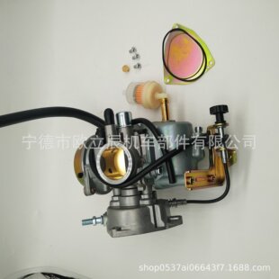 �m����ľ250������LTF250 2002-2009