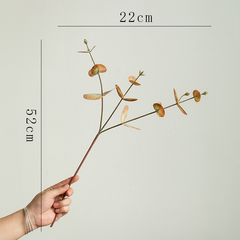 유화 유칼립투스(갈색) 1개
