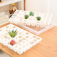 �S�����l 4�ڏ�С������54���м� ���⾫�B ���⻨������м�