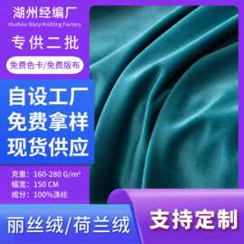 加工定制丽丝绒荷兰绒玩具绒布面料沙发抱枕窗帘束口袋服装布料