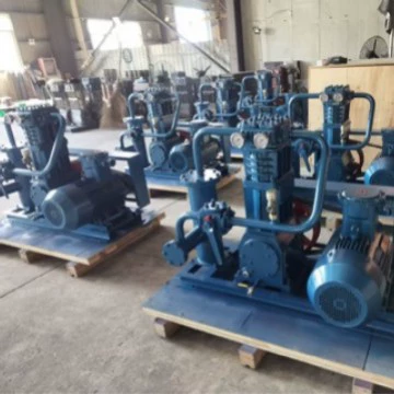 Zw0.8/10-16 Liquefied Gas Compressor Hava kompressorları