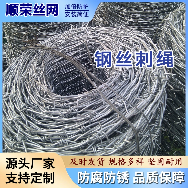 Забор из колючей проволоки, двухрядная защитная сетка, оцинкованный железный колючий забор для школы, тюрьмы, сада