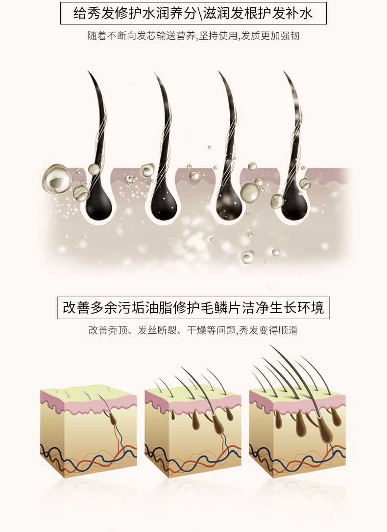 泊泉雅生姜洗发水防脱育发洗发露250ml 清洁柔顺洗发水厂家批发详情15