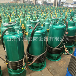 BQS�V�ø�������ɳ��ˮ늱�BQS80-100/2-45KW �������۱�660v380