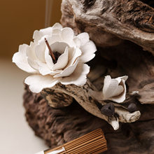 ���z�����մɻ�����������ĵ�������бP��޹�U�����Ҿ��ֹ��[��