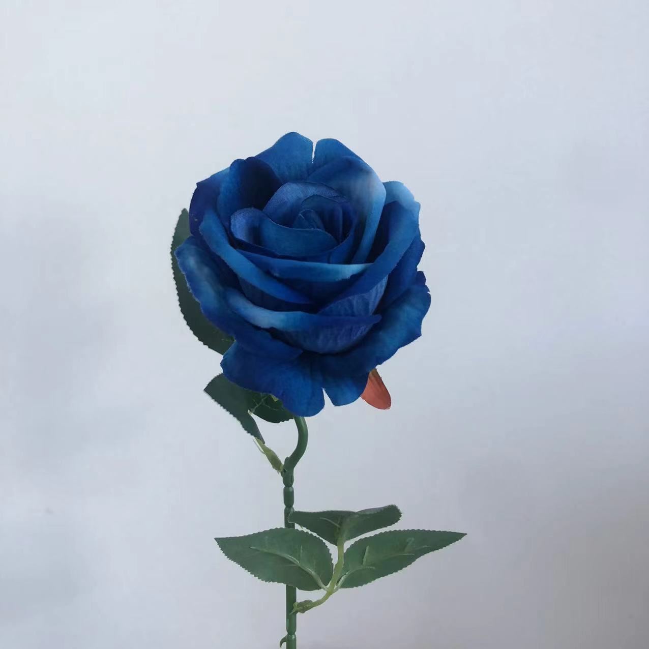 진한 파란색
