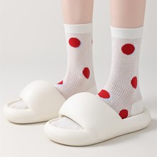 ľŮmUվWۼtŮWԺinsɐۿͨc̽mium