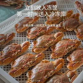 其他水产加工;水产干货类;鱼类