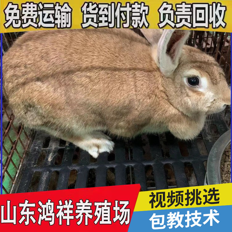 u=1056079425,2800350165&am