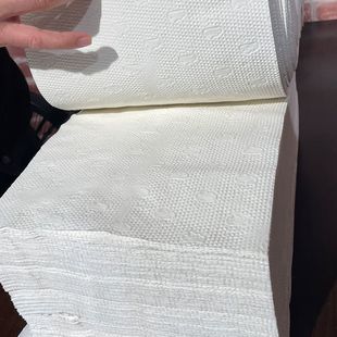 平板压花家用卫生纸老款老式手纸便宜厕纸宠物大张纸狗狗拾便纸-阿里巴巴