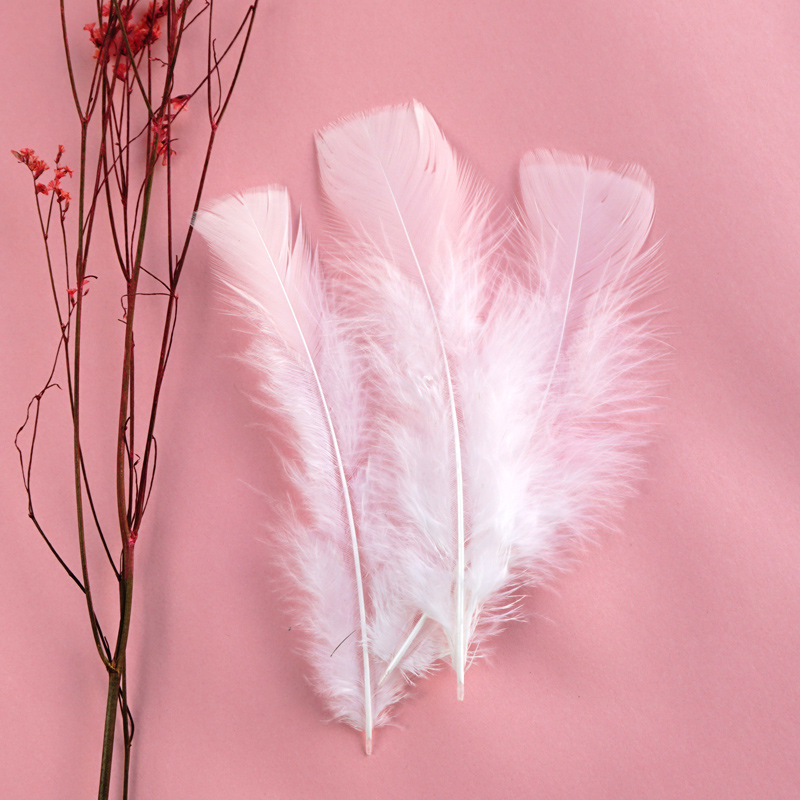 SKU-59-杏色 白色平板毛50只.jpg