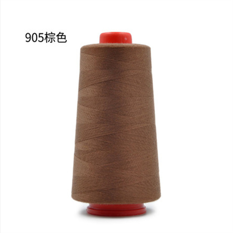 라이트 브라운 905