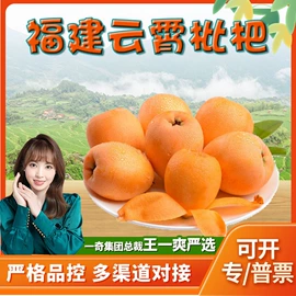 代用/养生茶;苹果;花果茶