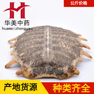 ���M��1000�� �A����ș ��ș�ĬF؛���l�����a���㽭 ���M��