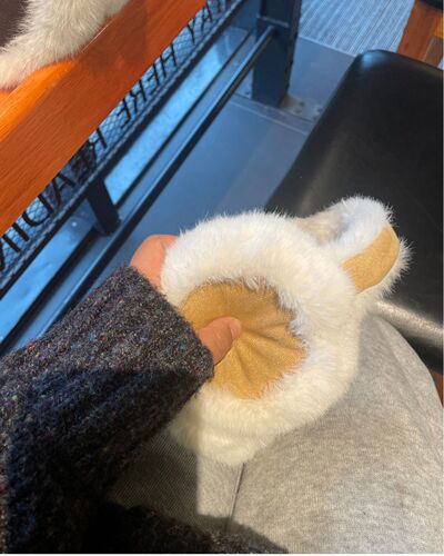 Xiaohongshu's same dark coffee earmuffs, plush, warm, cycling and ear protection, plush, cute, anti-freeze, sports and leisure