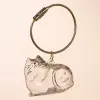 Серебристый тигровый кот