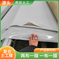 复合土工膜鱼塘防渗膜鱼池防水蓄水池hdpe膜护坡防漏两布一布一膜