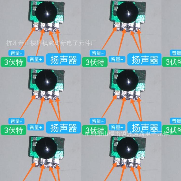杭州波涛新电子元件厂供音乐IC芯片电子琴钢琴IC电路COB发声元件