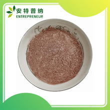 Pottersy~y~γSC04P10늴Όz