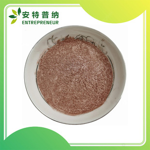 ����Potters��y�~���y���~���γ�������SC04P10늴����Ό���z��