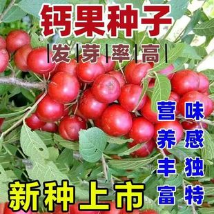 �W���}���N���r�󳬚Wϵ�Ю����_���Y���rʳ�a�}�������ԷN���}��