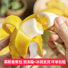 �㽶��¶��Ľ˹��ͯ�I�B��Ͱ��Ʒ�ك����S����ͨ�z�^�㽶���c��