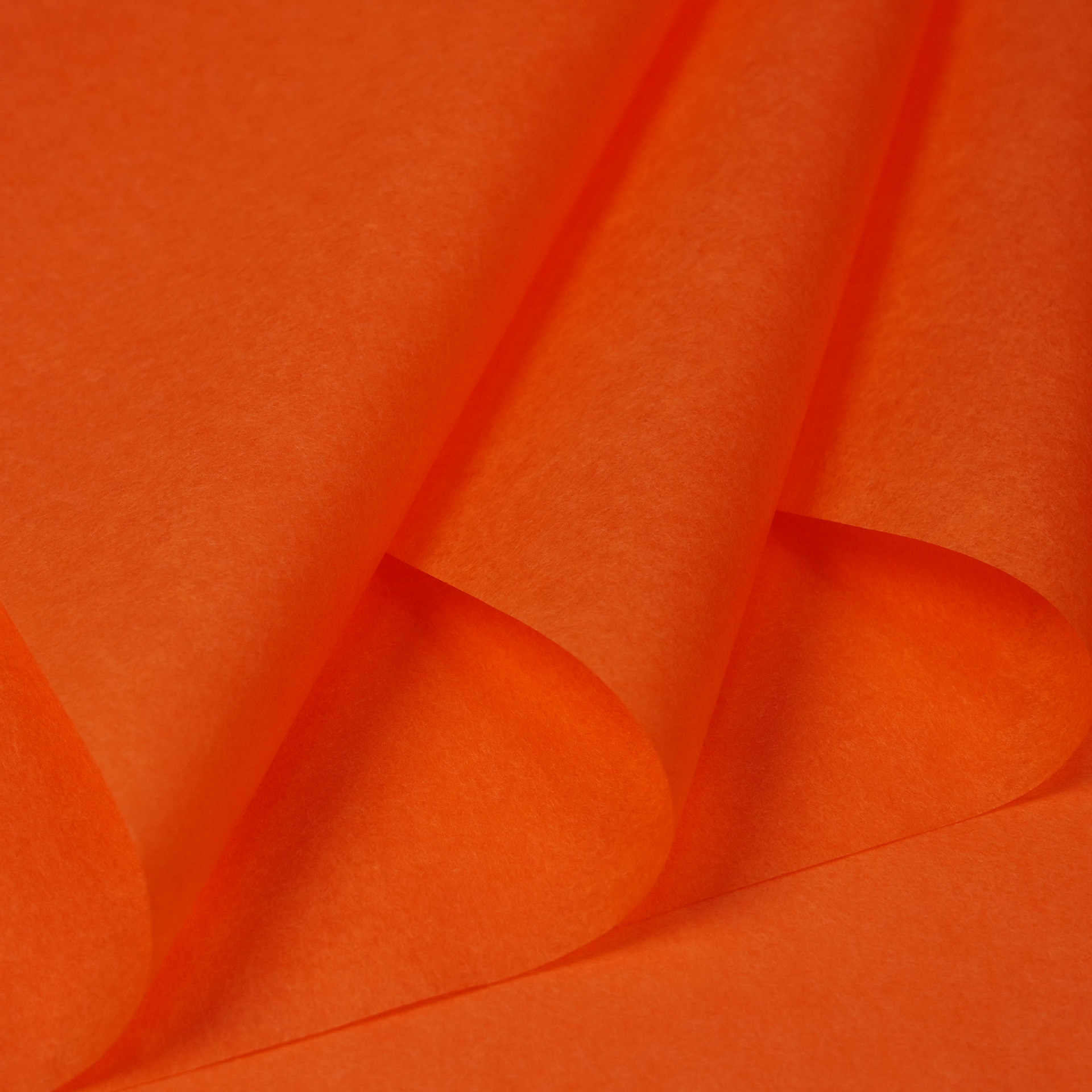 단색 사랑 말 오렌지 36 사진