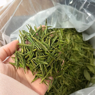 �G���ɽ�ײ辫Ʒ�ײ��²���l���^���~�ͶY�����~�Լ������l