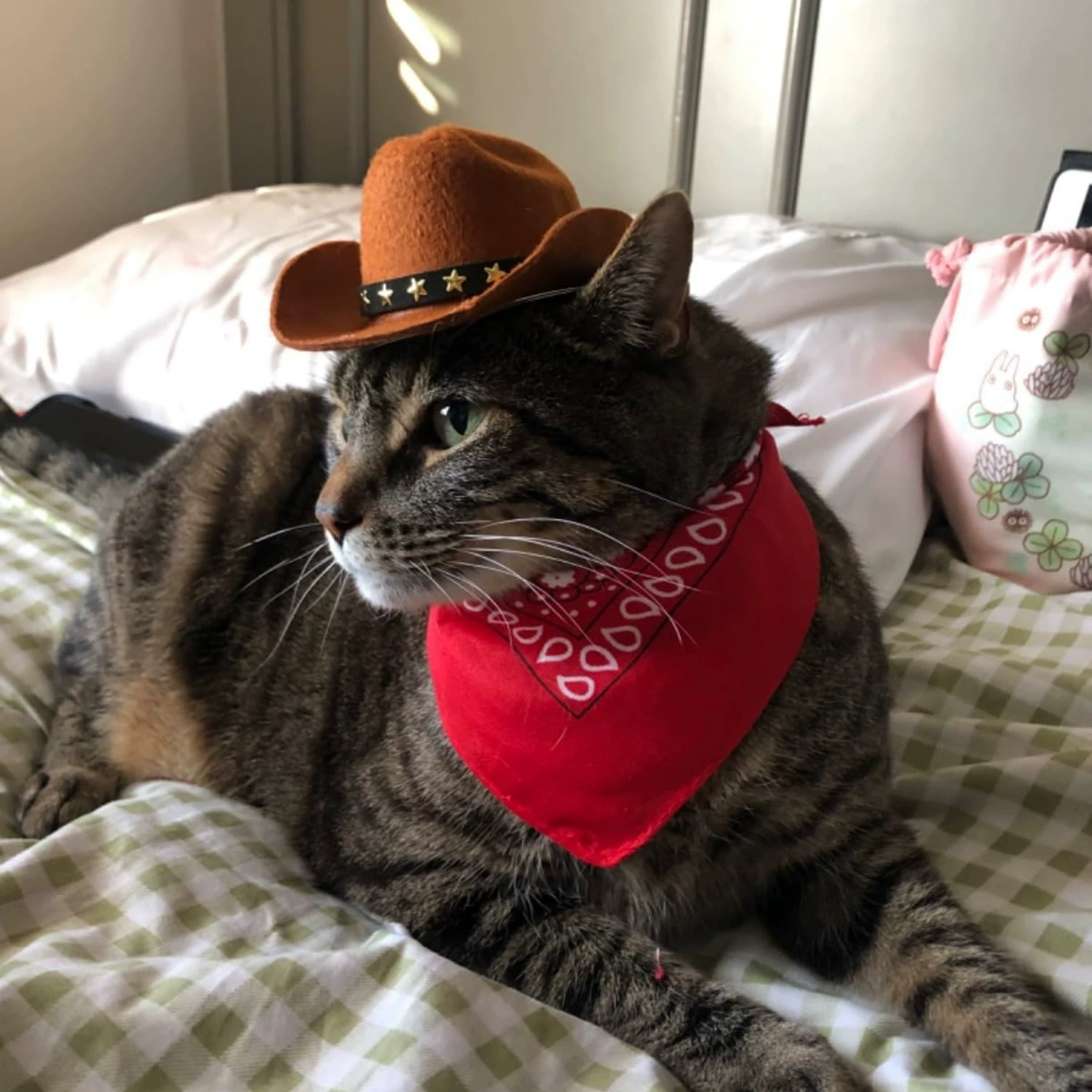 Очаровательный ковбойский костюм для маленьких домашних животных, аутентичная бежевая шляпа