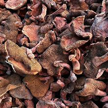 tţξ؛rҼtĢr؛ҰĢʳԭBȻ