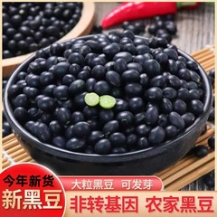 东北新黑豆绿心农家自产黑豆绿色食用粗粮五谷杂粮豆
