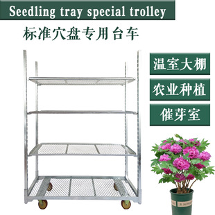 Standard Container 1350*565*1900 Flower Turnover Car Foldableable, Easy to Install, Adjustable Layer Height