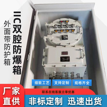 IIC防爆接线箱隔爆配电控制箱外面带防护箱IIC双腔防爆箱防腐