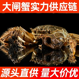 大闸蟹;腌制水产品