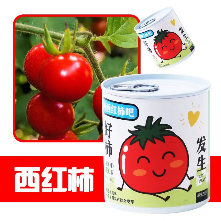 ֲް칫ҴɫСԻDIYֲѧͷƷ