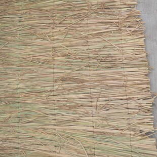 ��Ѵ�ݴ����݉|�ӵ��ݲݰ���ѩ·��Y�������݉|���o�¾����ݴ���