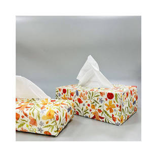 ����ľ�{ԭ���{�鼈������н���������cubeboxfacialtissue���b