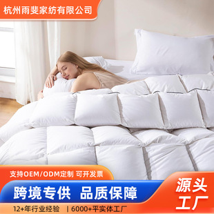 Hotel Luxury Feather Cotton Quilt Queen Size Pure Cotton Fluffy down Comforter Home Textile Bedding Winter Duck down Quilt