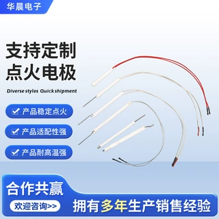 家用灶炉具壁挂炉双线点火针 耐高温陶瓷炉头脉冲器配弯针点火器
