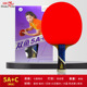Pisces table tennis bat 5A + C long handle
