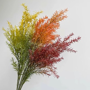 ǧ�ӽ� 4���S���� ��cܛ�b���û���ֲ��廨�ز����T�|��ɫ�b�