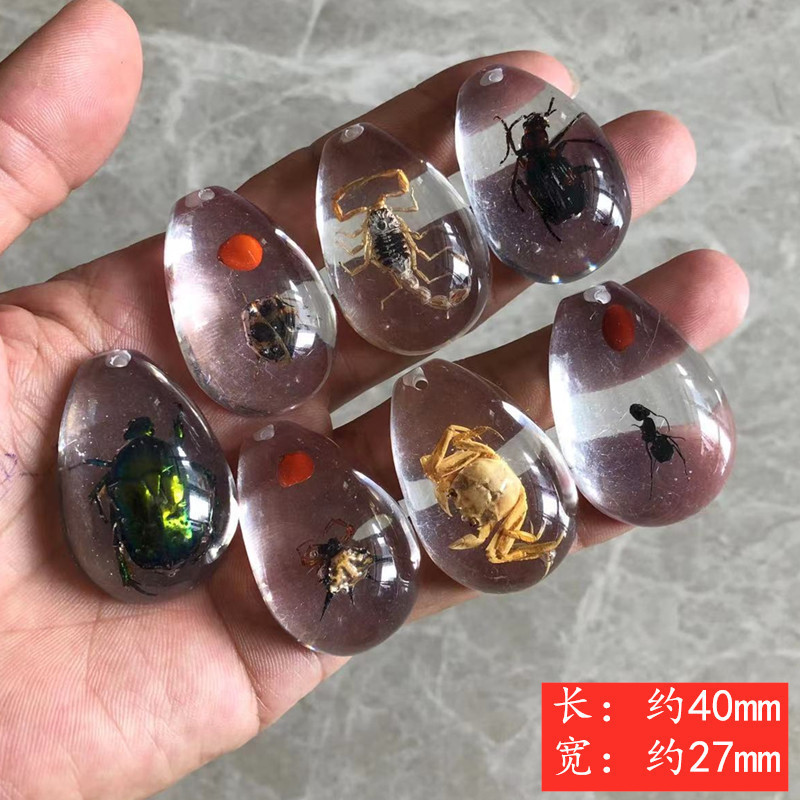厳選された昆虫琥珀標本、サソリ、蝉、ブラインドボックス、子供向けギフト、教科書、学習、発掘、考古学的ペンダントアクセサリー|undefined