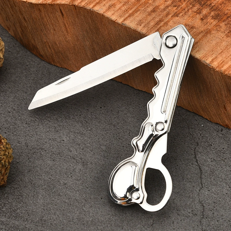 Handheld fruit sharp small pocket knife stainless steel, Birthday gift