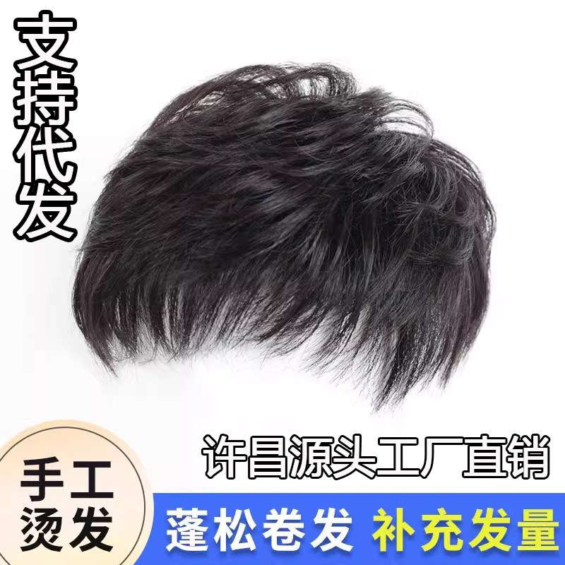 Wig Piece for Women's Head, Simulated Human Hair, Middle-Aged and Elderly Ladies, Mothers, Short Hair, Covering White Hair, Natural Curly Hair Replacement