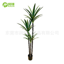 �羳���섦������Է��������m�Ӽҙ����쾰�OӋ�bل����