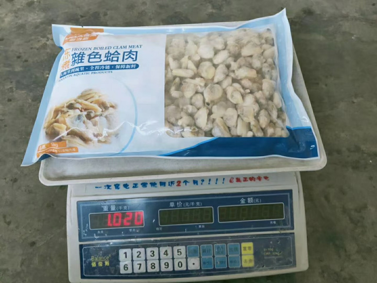 花蛤肉花甲 杂色蛤净肉10公斤/件冷冻水产品批发袋装花甲肉