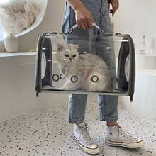 ���������y��܇�d؈��͸��̫��œ����μ米�������С��Ȯ