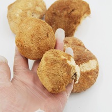 中药材猴头菇猴头菇批发猴头菇粉可搭配丁香沙棘500克一件代发
