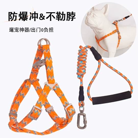 狗狗牵引;宠物项圈;猫猫牵引