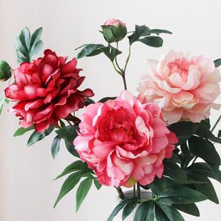 ������2�^ĵ�����滨 �Ҿ���ș�ٻ��[�� ��c���Ų廨����ĵ����